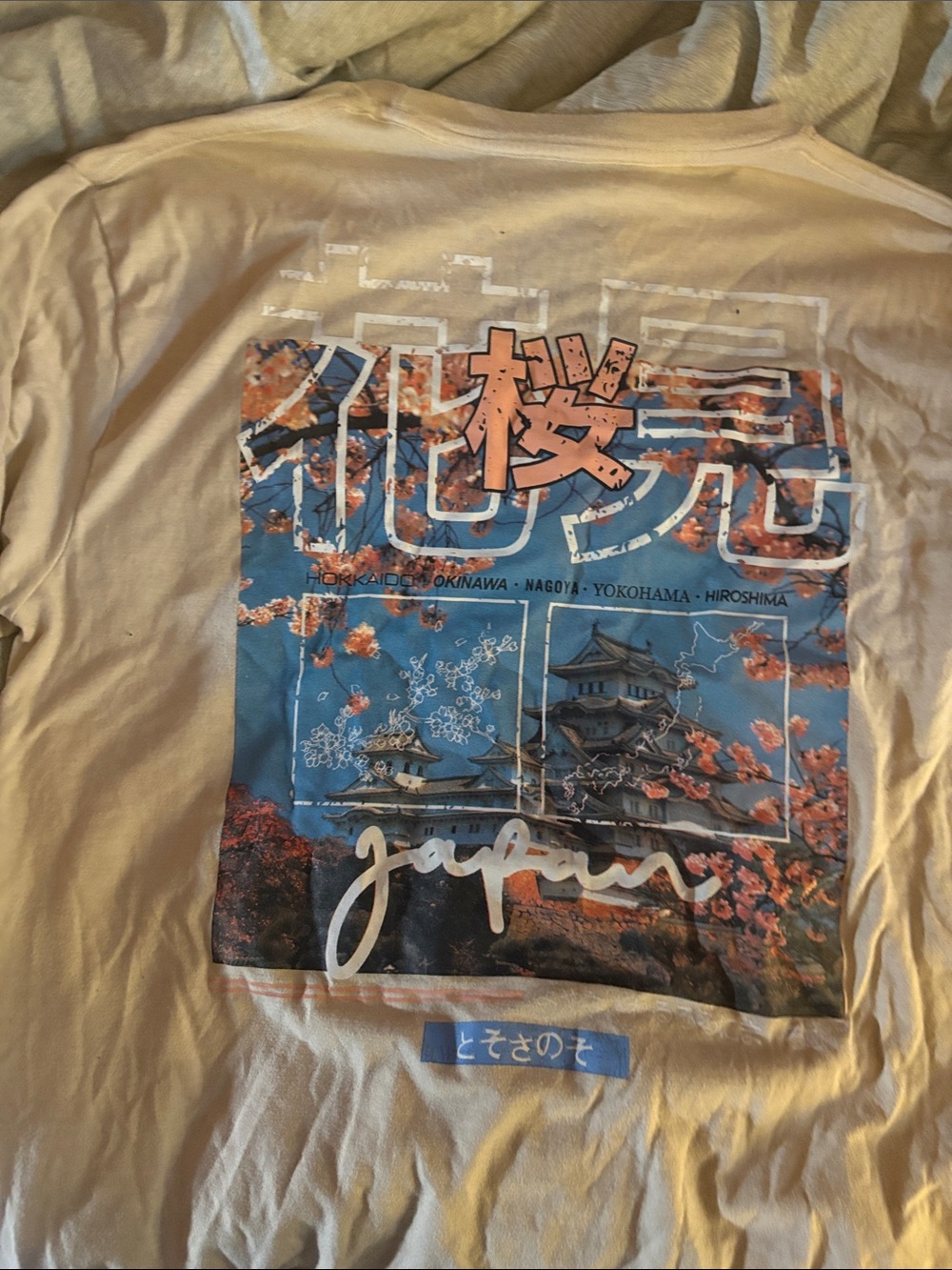 Vibe Japan Graphic Tee in Beige, Blue, Pink